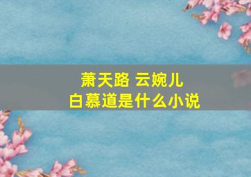 萧天路 云婉儿 白慕道是什么小说